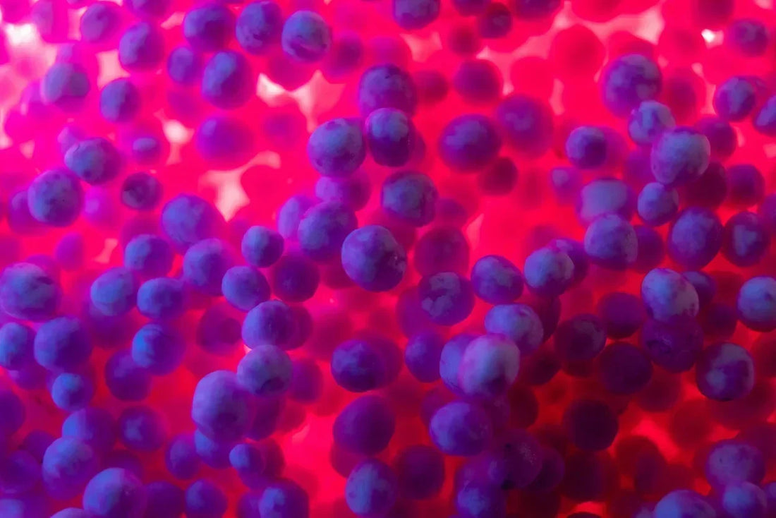 What are Peptides?